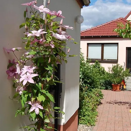 Ferienwohnung Peise Flecken Zechlin